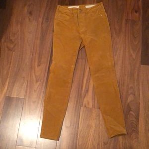 Pilcro and the Letterpress Corduroy pants